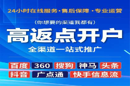 SEM广告投放中的数据监控与调整策略——以某品牌营销案例为例