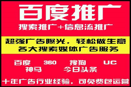 百度搜索引擎优化推广：成功案例揭秘